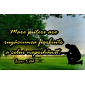 Magnet banda, Mare putere are..